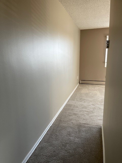 Spacious Bright 1 Bedroom Avalon Area